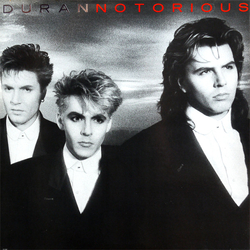 Duran Duran Notorious Vinyl LP USED