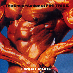 Finitribe I Want More Vinyl 12" USED