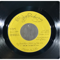 Poi Dog Pondering Big Beautiful Spoon Vinyl 7" USED