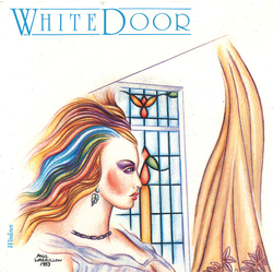 White Door Windows Vinyl 7" USED