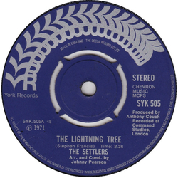 The Settlers The Lightning Tree Vinyl 7" USED