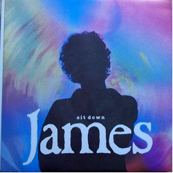 James Sit Down Vinyl 12" USED