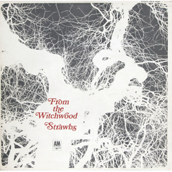 Strawbs From The Witchwood Vinyl LP USED