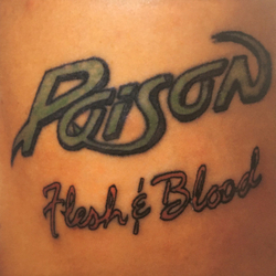 Poison (3) Flesh & Blood Vinyl LP USED