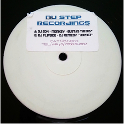 DJ 204 / Monkey (6) / DJ Flipside (2) / DJ Remedy Bustas Theory / Hornet Vinyl 12" USED