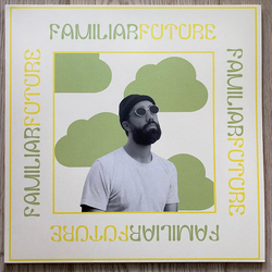 Doug Stuart Familiar Future Vinyl LP USED