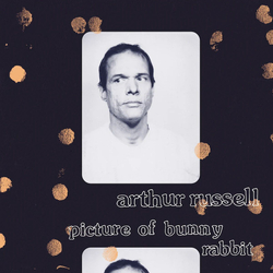 Arthur Russell Picture Of Bunny Rabbit Vinyl LP USED
