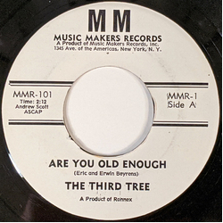 The Third Tree Are You Old Enough / Mean Mr. Mustard Vinyl 7" USED