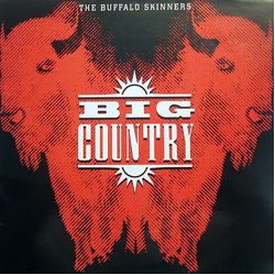 Big Country The Buffalo Skinners Vinyl LP USED