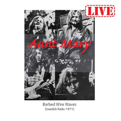 Aunt Mary (2) Barbed Wire Waves (Swedish Radio 1971) Vinyl LP USED