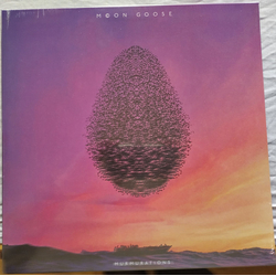 Moon Goose Murmurations Vinyl LP USED
