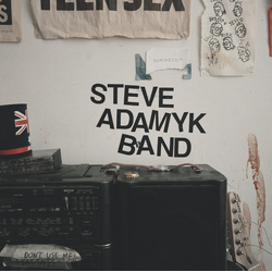 Steve Adamyk Band Graceland Vinyl LP USED