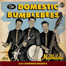 The Domestic Bumblebees Mahtilda Vinyl 7" USED