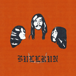 Bull Run Bull Run Vinyl LP USED