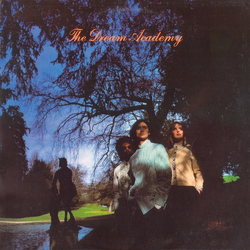 The Dream Academy The Dream Academy Vinyl LP USED