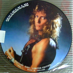 Whitesnake Limited Edition Interview Picture Disc Vinyl LP USED
