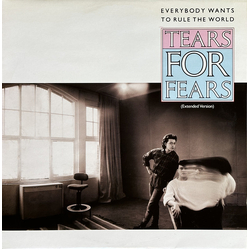 Tears For Fears Everybody Wants To Rule The World (Extended Version) Vinyl 12" USED