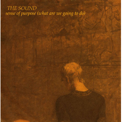 The Sound (2) Sense Of Purpose (What Are We Going To Do) Vinyl 12" USED