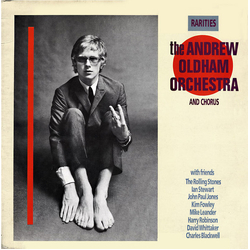 Andrew Loog Oldham Orchestra Rarities Vinyl LP USED