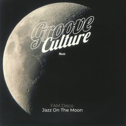 FAM Disco Jazz On The Moon Vinyl 12" USED