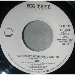 Hot Taking My Love For Granted Vinyl 7" USED