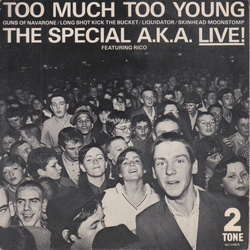 The Specials / Rico Rodriguez Too Much Too Young Vinyl 7" USED