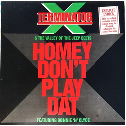 Terminator X Homey Don't Play Dat Vinyl 12" USED
