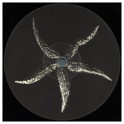 Pedro D'Alessandro The Magic Numbers EP Vinyl 12" USED