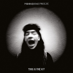 This Is The Kit Moonshine Freeze Vinyl LP USED