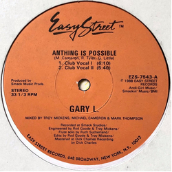 Gary L. Anything Is Possible Vinyl 12" USED