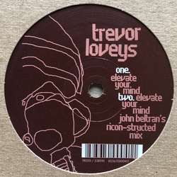 Trevor Loveys Elevate Your Mind Vinyl 12" USED