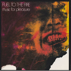 Music For Pleasure Fuel To The Fire Vinyl 7" USED