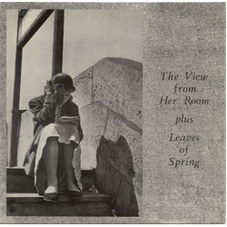 Weekend The View From Her Room Plus Leaves Of Spring Vinyl 7" USED