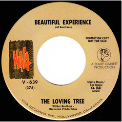 The Loving Tree Beautiful Experience / Let Him Love You Vinyl 7" USED