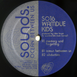 Wamdue Kids Ocean Between Us Vinyl 12" USED