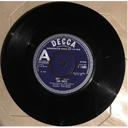 Tam White Amy Vinyl 7" USED
