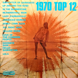 Unknown Artist 1970 Top 12 Vinyl LP USED