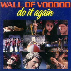 Wall Of Voodoo Do It Again Vinyl 12" USED