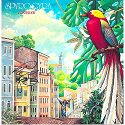 Spyro Gyra Carnaval Vinyl LP USED
