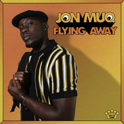 Jon Muq Flying Away Vinyl LP USED