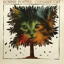 Ronnie Foster Cheshire Cat Vinyl LP USED