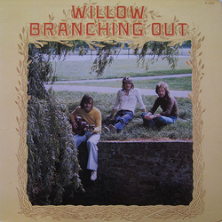 Willow (11) Branching Out Vinyl LP USED