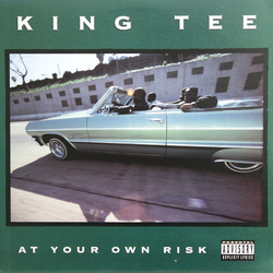 King Tee At Your Own Risk Vinyl LP USED
