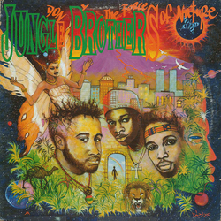 Jungle Brothers Done By The Forces Of Nature Vinyl LP USED