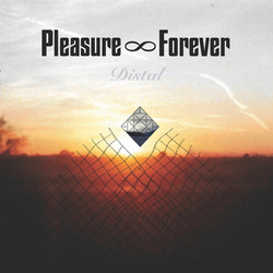 Pleasure Forever Distal Vinyl LP USED