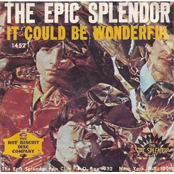The Epic Splendor It Could Be Wonderful / She's High On Life Vinyl 7" USED