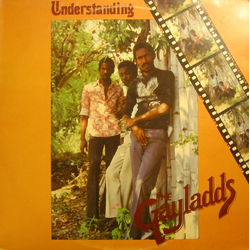 The Gaylads Understanding Vinyl LP USED
