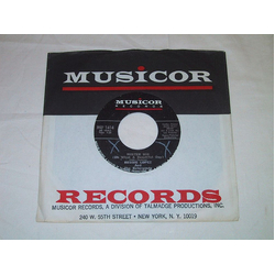 Reggie Lopez / The Detergents (2) Mister Big (Oh What A Beautiful Day) Vinyl 7" USED
