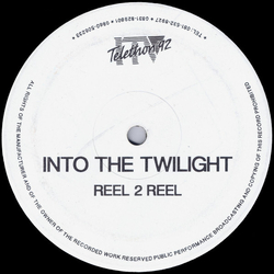 Into The Twilight Into The Twilight Vol. 1 Vinyl 12" USED