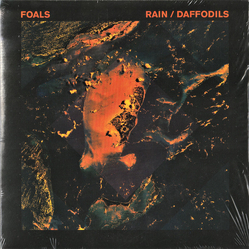 Foals Rain / Daffodils Vinyl 7" USED